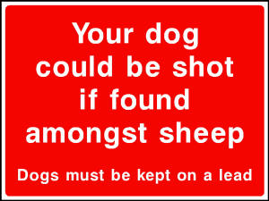 COUN0068 Your dog could be shot if found amongst sheep Dogs must be kept on a lead
